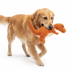 Jouets de dinosaure en peluche pour animaux de compagnie