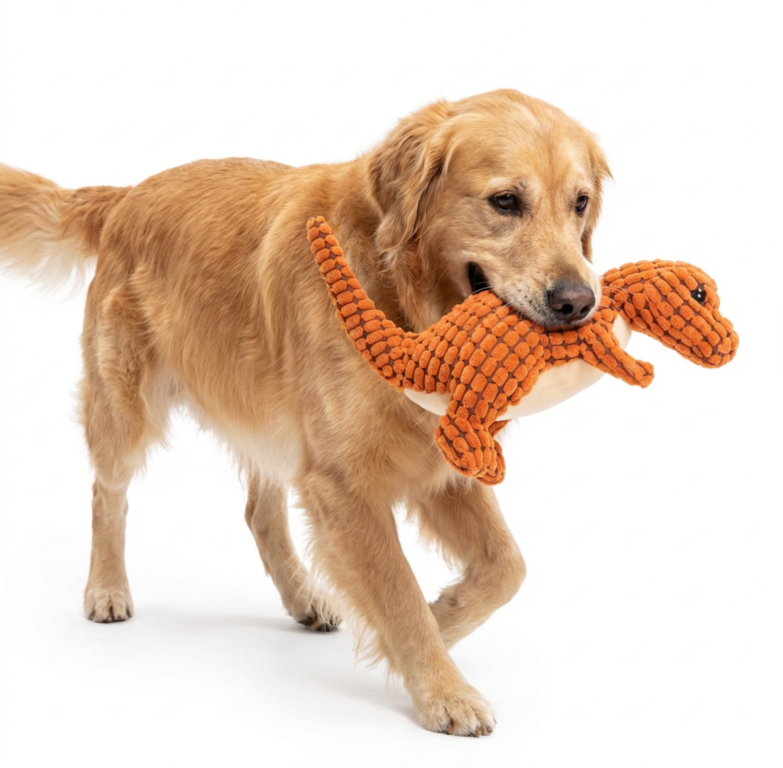 Jouets de dinosaure en peluche pour animaux de compagnie