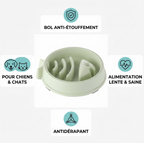Bol de nourriture lente pour chien et chat