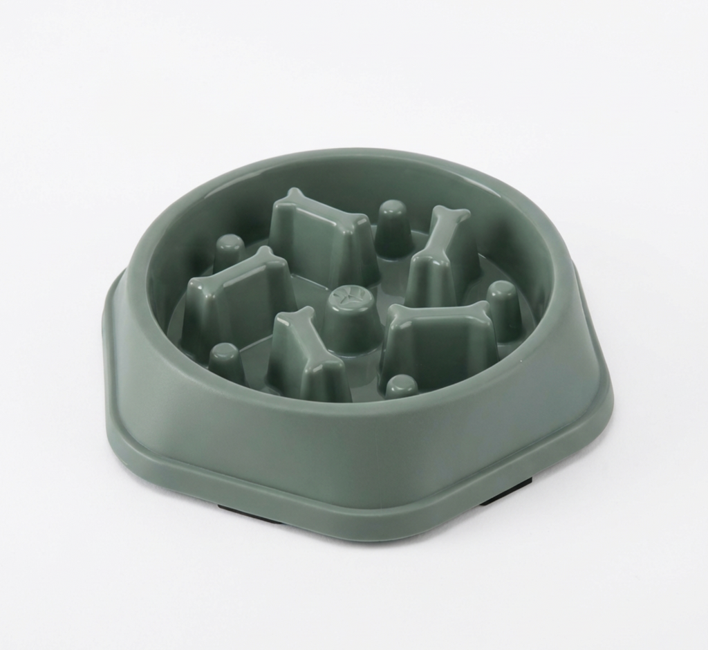 Bol de nourriture lente pour chien et chat