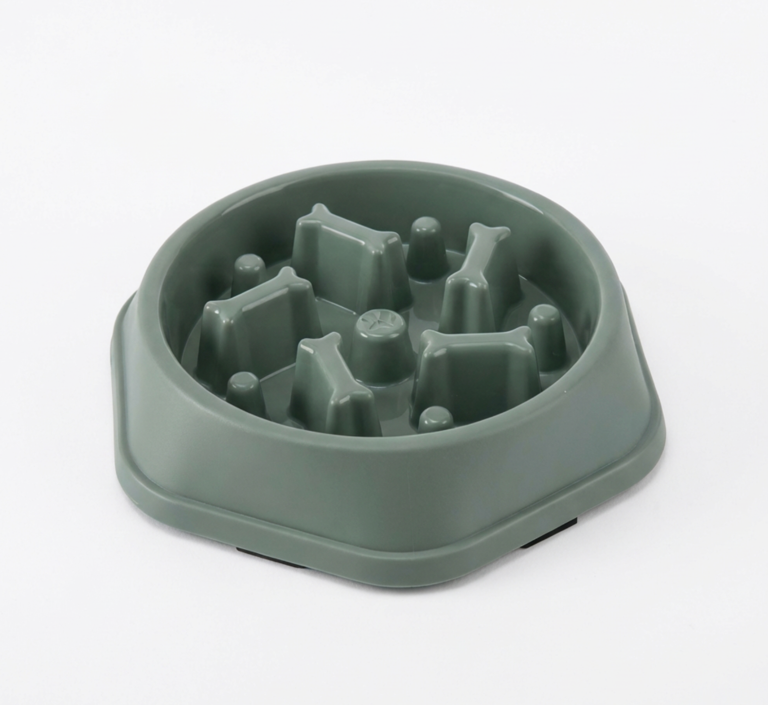 Bol de nourriture lente pour chien et chat